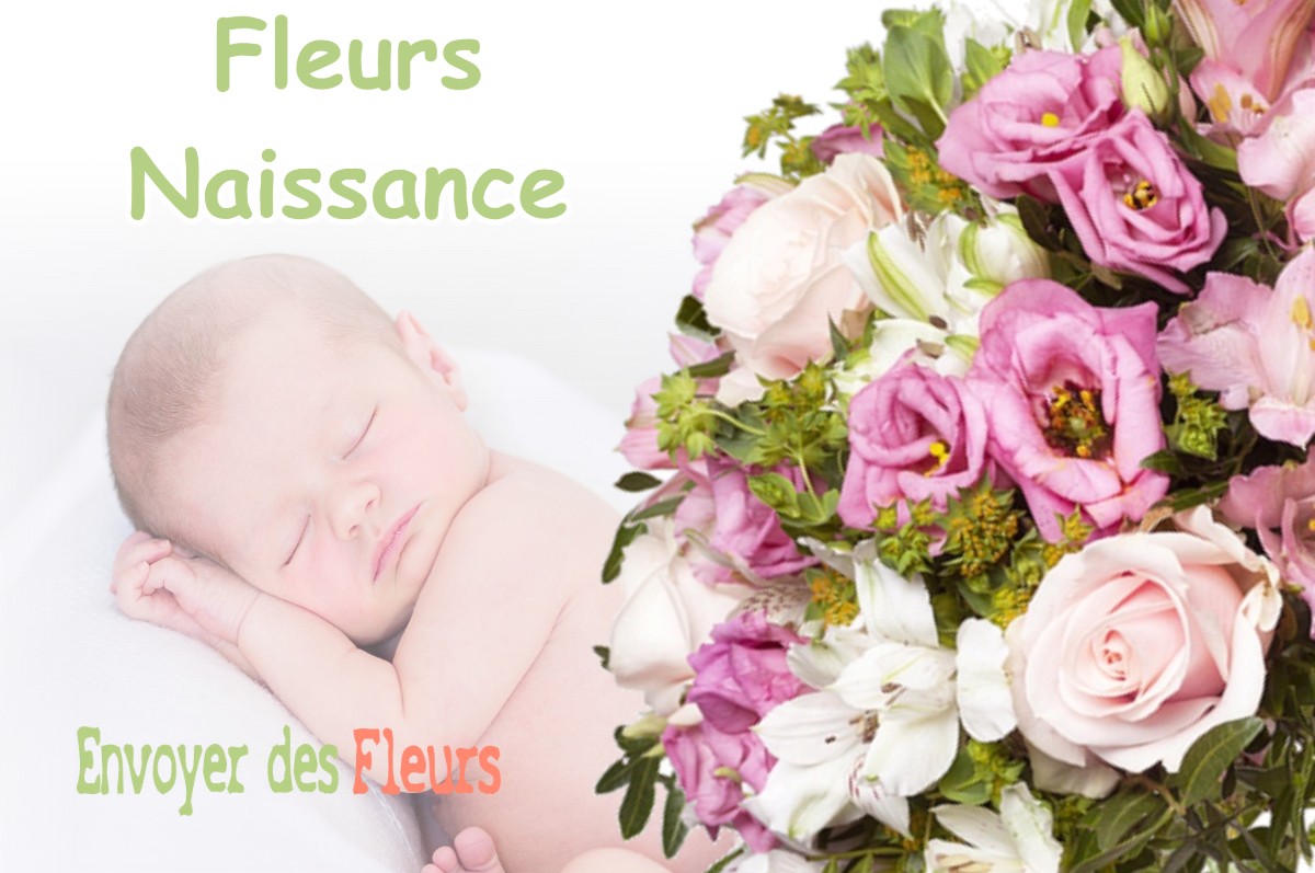 lIVRAISON FLEURS NAISSANCE à BERNIN